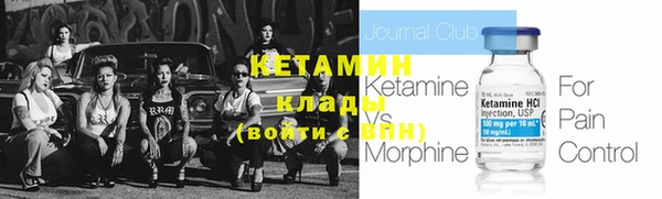 шишки Карпинск