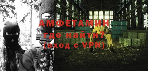 шишки Карпинск