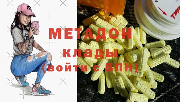 шишки Карпинск