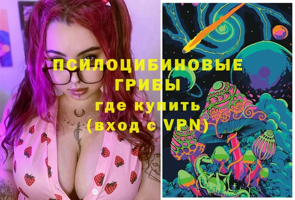 гидропоника Карталы
