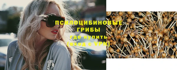 шишки Карпинск