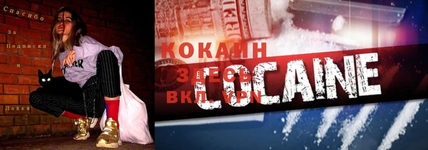 гидропоника Карталы