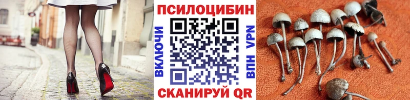 Галлюциногенные грибы Psilocybe  Таганрог 