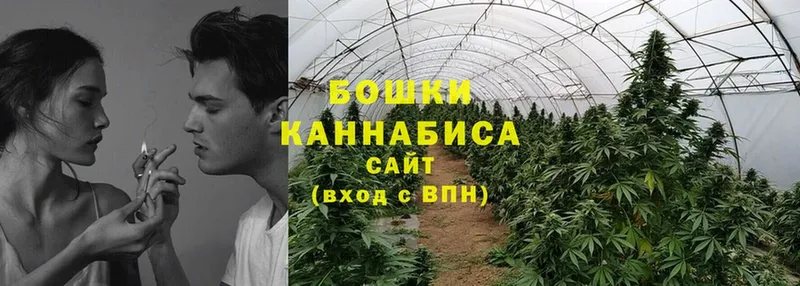 где купить наркоту  Таганрог  Бошки марихуана Ganja 